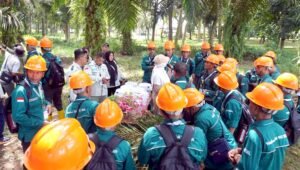 Palm Oil Magazine