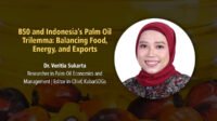 B50 and Indonesia’s Palm Oil Trilemma: Balancing Food, Energy, and Exports Palm Oil Magazine