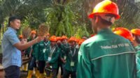 Palm Oil Magazine
