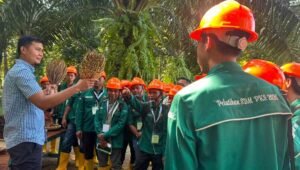 Palm Oil Magazine