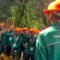Palm Oil Magazine