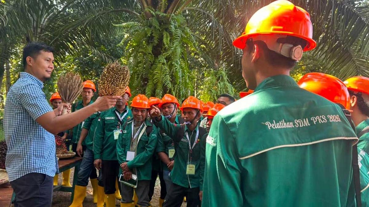 Palm Oil Magazine