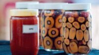 KPBN CPO Price Climb to IDR15,685/kg on July 14 Palm Oil Magazine