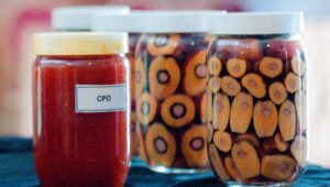 Palm Oil Magazine