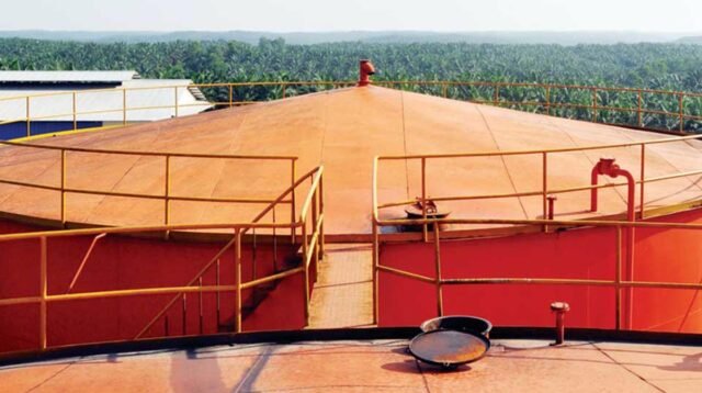 Indonesia's KPBN CPO Prices Climb as Global Palm Oil Market Awaits MPOB Report