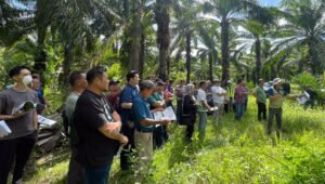 Palm Oil Magazine