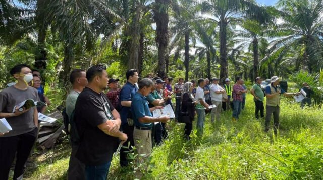 Palm Oil Magazine