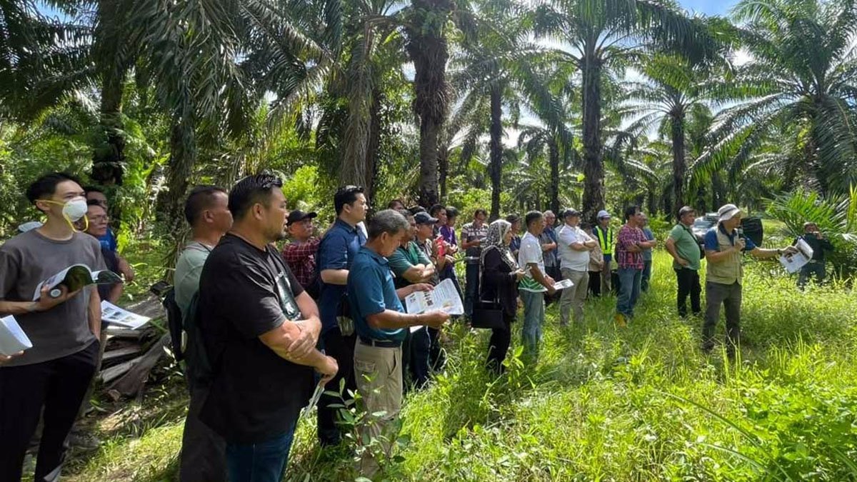 Palm Oil Magazine