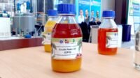 Indonesia’s KPBN CPO Offers Rise to IDR15,589/kg Despite Withdrawn Tender Palm Oil Magazine