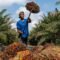 Palm Oil Magazine