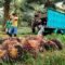 Palm Oil Magazine