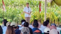 Indonesia Launches NBS-Agroforestry Program to Build Sustainable Plantations and Strengthen Climate Resilience Palm Oil Magazine
