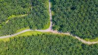 Residents Resist Company's Tent Installation Amid Ongoing Land Dispute Palm Oil Magazine