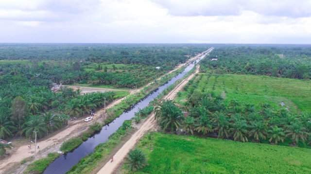 Palm Oil Magazine