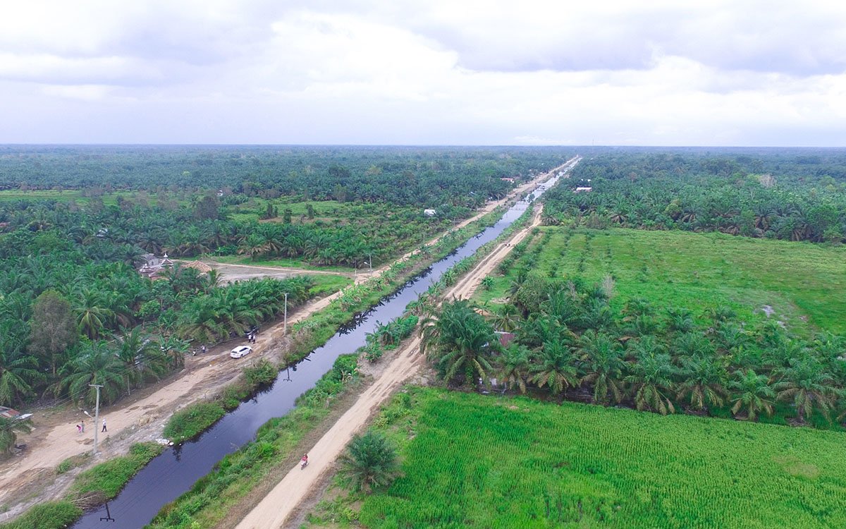BMKG Warns El Niño to Keep Indonesia's Palm Oil Regions Drier Until October 2026 Palm Oil Magazine