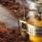 Palm Oil Magazine