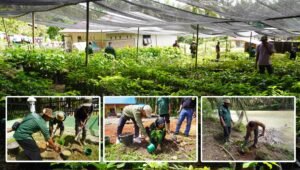Palm Oil Magazine