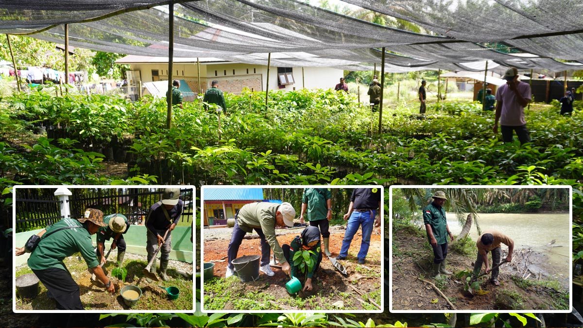 Palm Oil Magazine