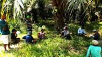 Beyond Raw Commodities: Why Indonesia's Palm Oil Smallholders Must Move Up the Value Chain Palm Oil Magazine