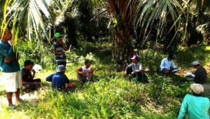 Palm Oil Magazine
