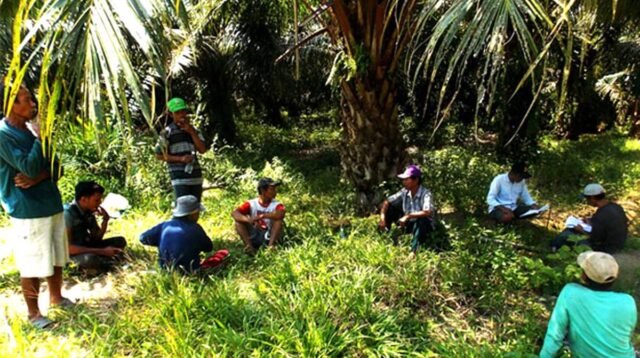 Palm Oil Magazine