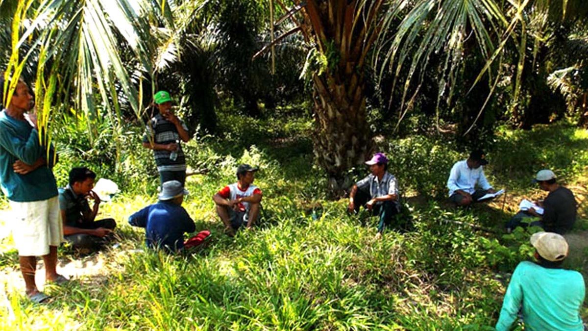 Palm Oil Magazine