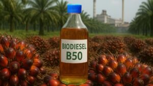 Palm Oil Magazine