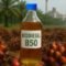 Palm Oil Magazine