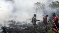APHI-GAPKI Urge Joint Protocol to Speed Up Forest and Land Fire Response OK Palm Oil Magazine