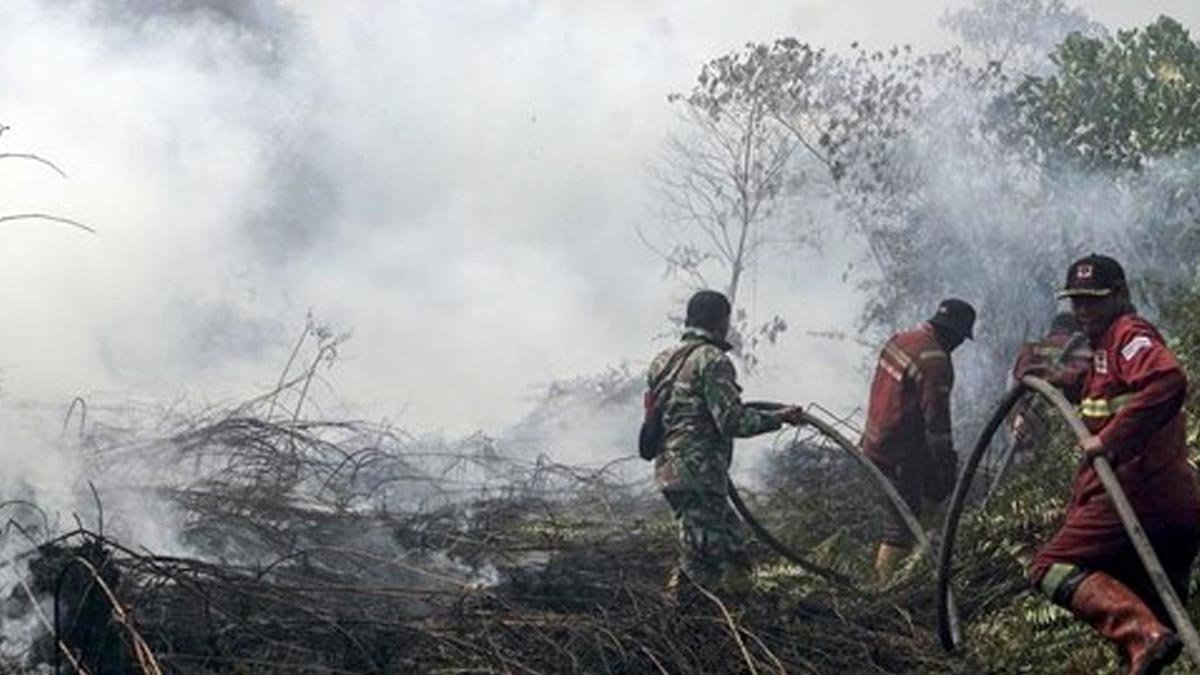 Palm Oil Magazine