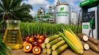 Palm Oil Magazine