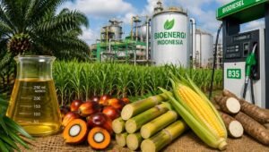 Palm Oil Magazine