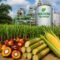 Palm Oil Magazine
