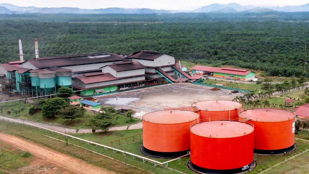 Palm Oil Magazine