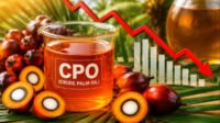 CPO Prices Under Pressure as KPBN Tender Withdraws, Malaysia Futures Fall Palm Oil Magazine