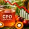 Palm Oil Magazine