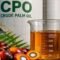 Palm Oil Magazine