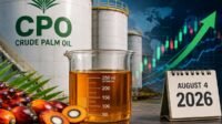 Indonesia's KPBN Inacom CPO Price Rises to IDR 15,800/kg as Malaysian Palm Oil Futures Rebound Palm Oil Magazine