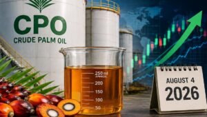 Palm Oil Magazine