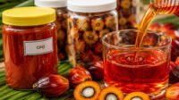 Palm Oil Magazine