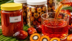 Palm Oil Magazine