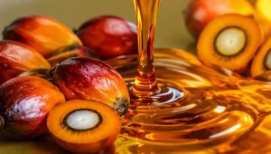 Palm Oil Magazine