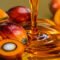 Palm Oil Magazine