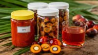 CPO and FFB (Palm Oil Magazine) 13 Palm Oil Magazine