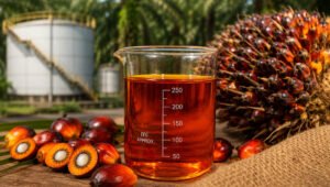 Palm Oil Magazine