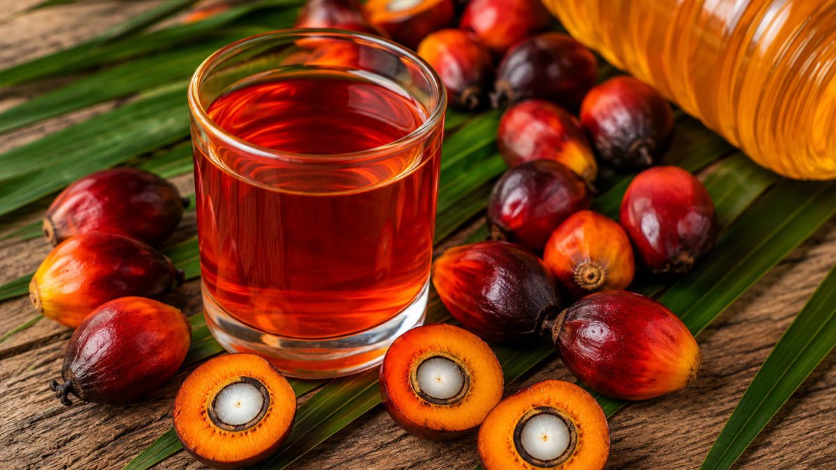 Malaysia CPO Futures Rise for Fifth Day, November Contract Hits RM5,018 Palm Oil Magazine