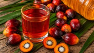 Palm Oil Magazine