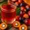 Palm Oil Magazine