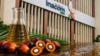 KPBN Inacom CPO Price Rises to IDR 15,835/kg as Malaysian Palm Oil Futures Strengthen Palm Oil Magazine