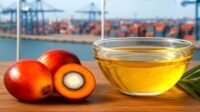 Palm Oil Magazine